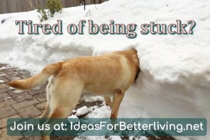 IdeasForBetterLiving.net